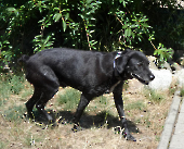 Pension_21