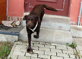 Pension_21