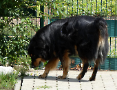 Pension_22