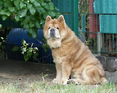 Pension_25