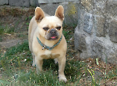 Pension_28