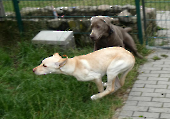 Pension_2