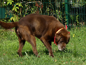 Pension_32