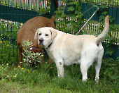 Pension_34