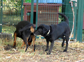 Pension_47