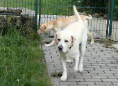Pension_5