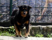 Pension_9