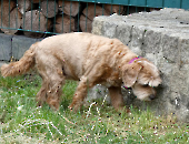 Pension_15