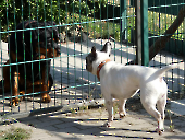 Pension_55