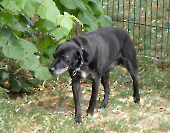 Pension_65