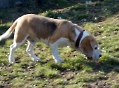 Pension_32