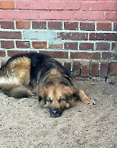 Pension_35