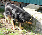 Pension_35