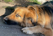 Pension_3