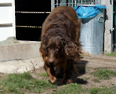 Pension_52