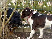 Pension_6
