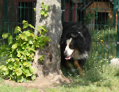 Pension_10