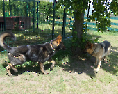 Pension_20