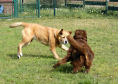 Pension_21
