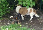 Pension_22
