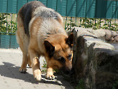 Pension_26