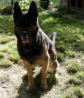 Pension_48
