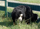 Pension_54