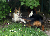 Pension_54