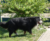 Pension_61