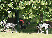Pension_62
