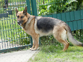 Pension_79