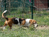 Pension_2