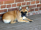 Pension_10