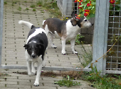 Pension_12