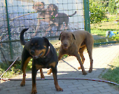 Pension_28