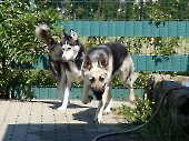 Pension_29