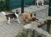 Pension_36