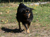 Pension_59