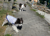 Pension_6