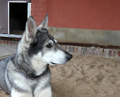 Pension_4